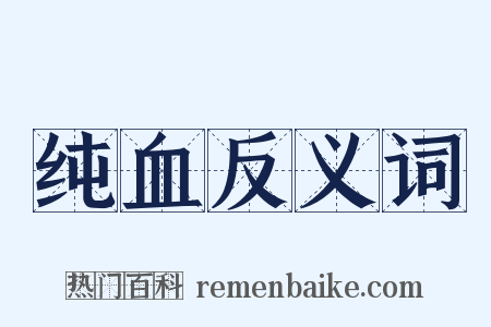 纯血反义词是什么意思的图片